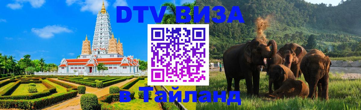 Сколько стоит DTV виза — актуальные цены, оформление даже без документов - Тирасполь  05.12.2025 